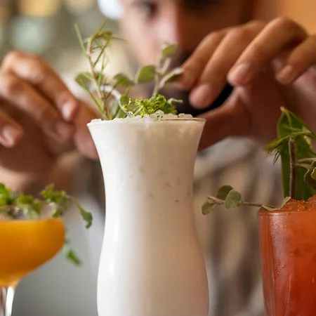 Les Regalia & 5* Sainte-Lucie de Porto-Vecchio